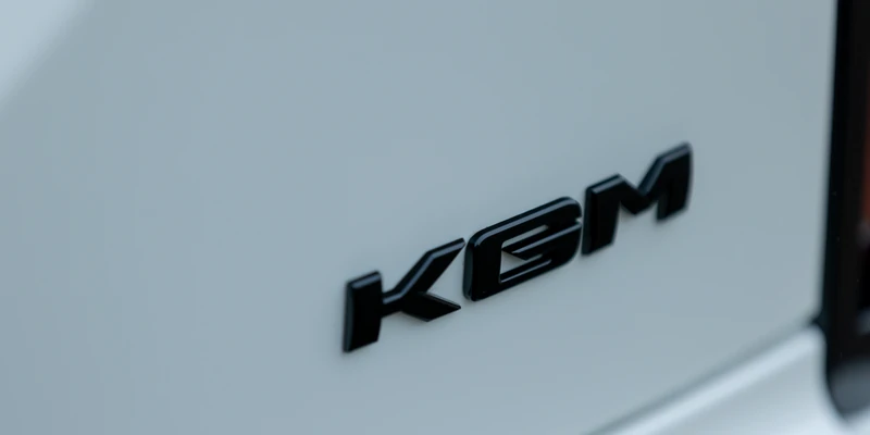 Carga KGM Torres EVX Van