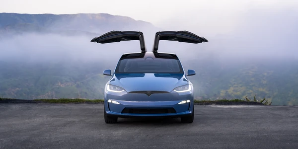 Model X